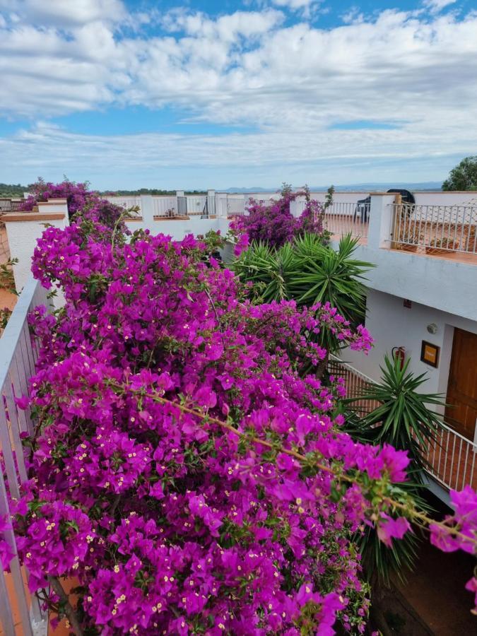 El Penell Estudi Mestral Appartement