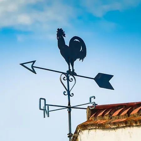 El Penell Estudi Mestral Vilamaniscle Zewnętrze zdjęcie